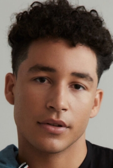 Andrew Liner